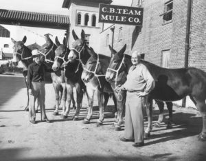 Our Story - Fort Worth Stockyards