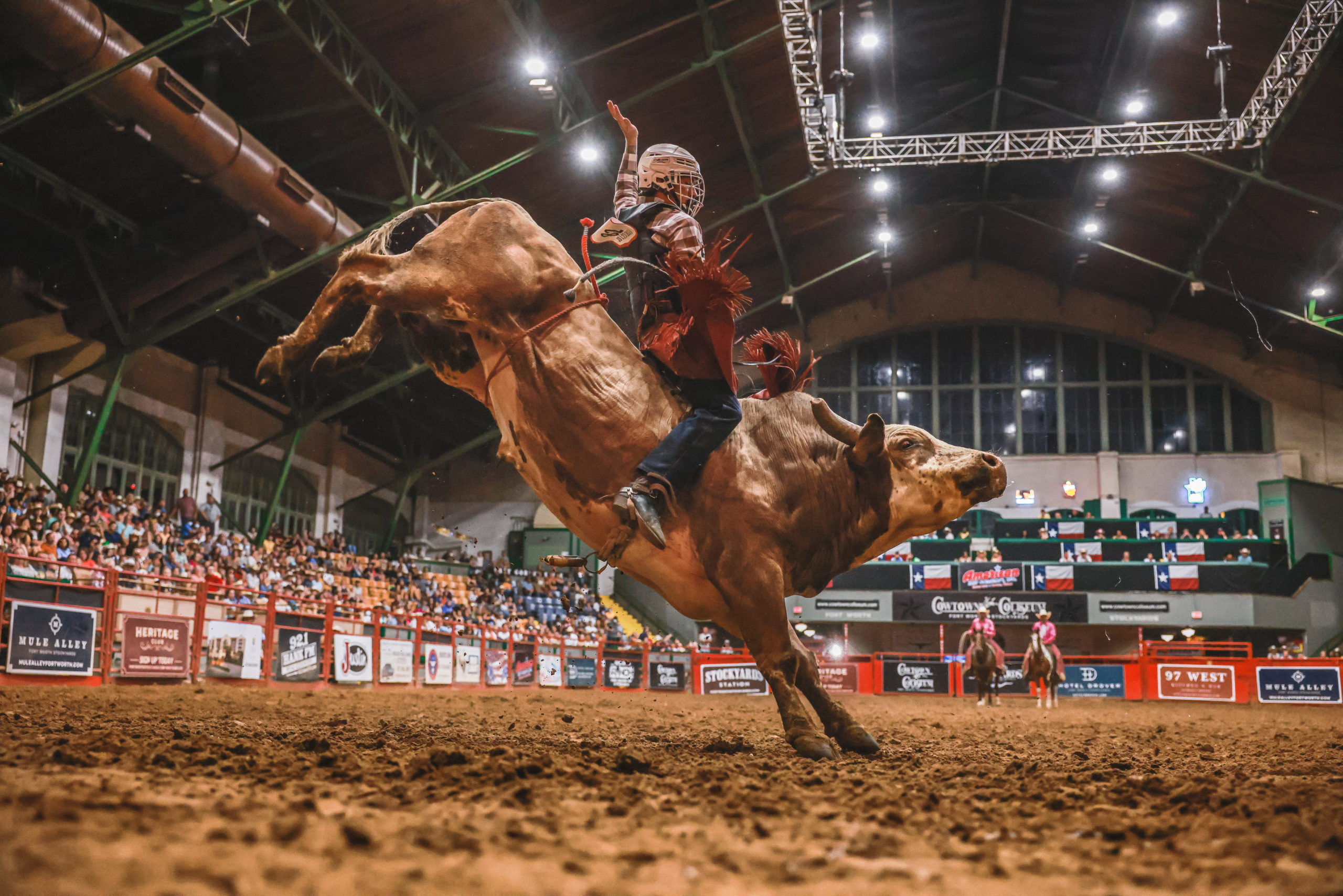 Fort Worth Rodeo 2024 Results Nessi ZsaZsa
